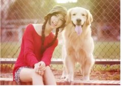 如何更好的和汪星人相處？