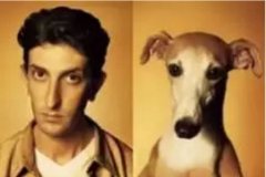 對(duì)于狗狗的這些秘密，您知道多少？