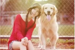 狗狗這樣看著你，表示它有話給你說