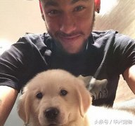 世界杯來了！讓我們扒一扒這些超級巨星們都在