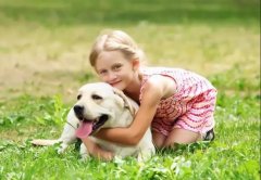 養(yǎng)狗一陣子，狗記一輩子