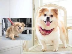 沒有誰，天生丑陋。