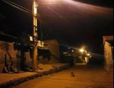 記憶中的老街巷口，有沒(méi)有一條等你回家的狗？