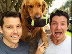 論演技，你恐怕比不上一只狗。。。