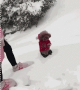 當(dāng)南方狗到了北方后...笑瘋了！