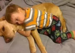 養(yǎng)狗千日，用在一時(shí)。。。。。