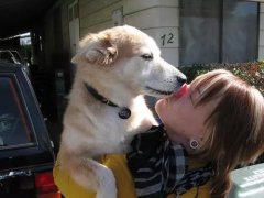 狗狗喜歡舔你，原來是想告訴你這些！