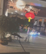 假如狗子能上網(wǎng)打字發(fā)圈，它會(huì)說(shuō)... ?