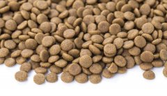 狗糧貓糧怎么儲存，華興寵物食品提示您