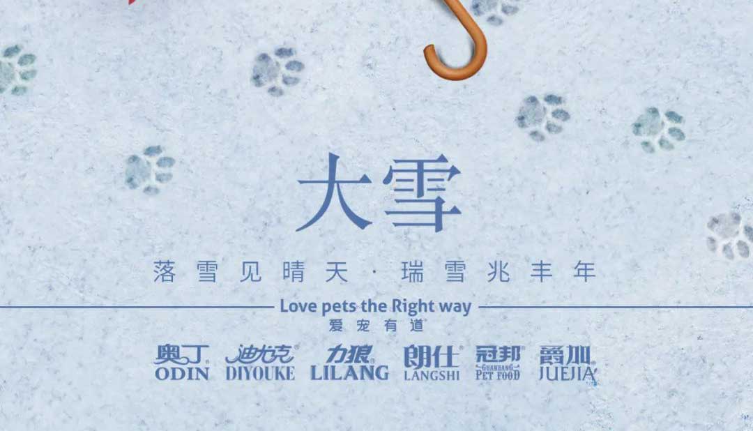 大雪丨雪落知寒意 久伴見初心！