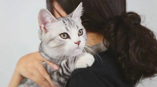 元旦丨新的一年，寵愛有加